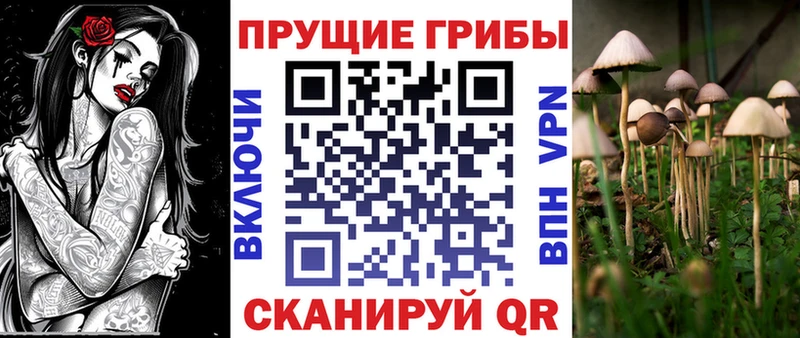 купить наркотики цена Тутаев Галлюциногенные грибы Magic Shrooms